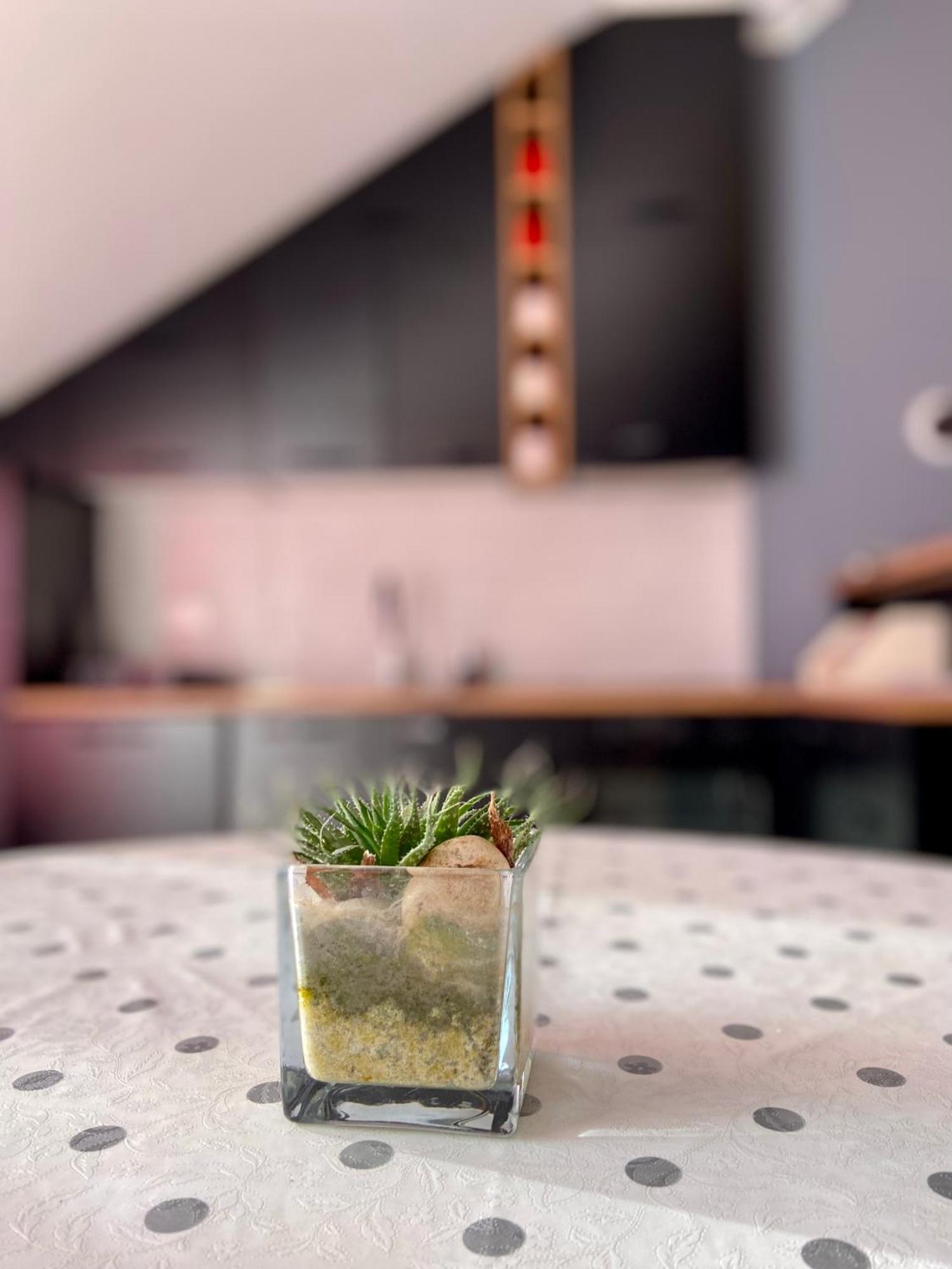 Banicevic Apartmani Ðenovići Buitenkant foto